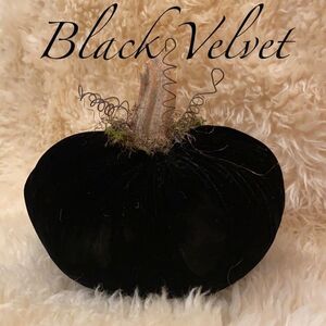 Handmade Fall Holiday Black genuine VELVET Pumpkin Decor